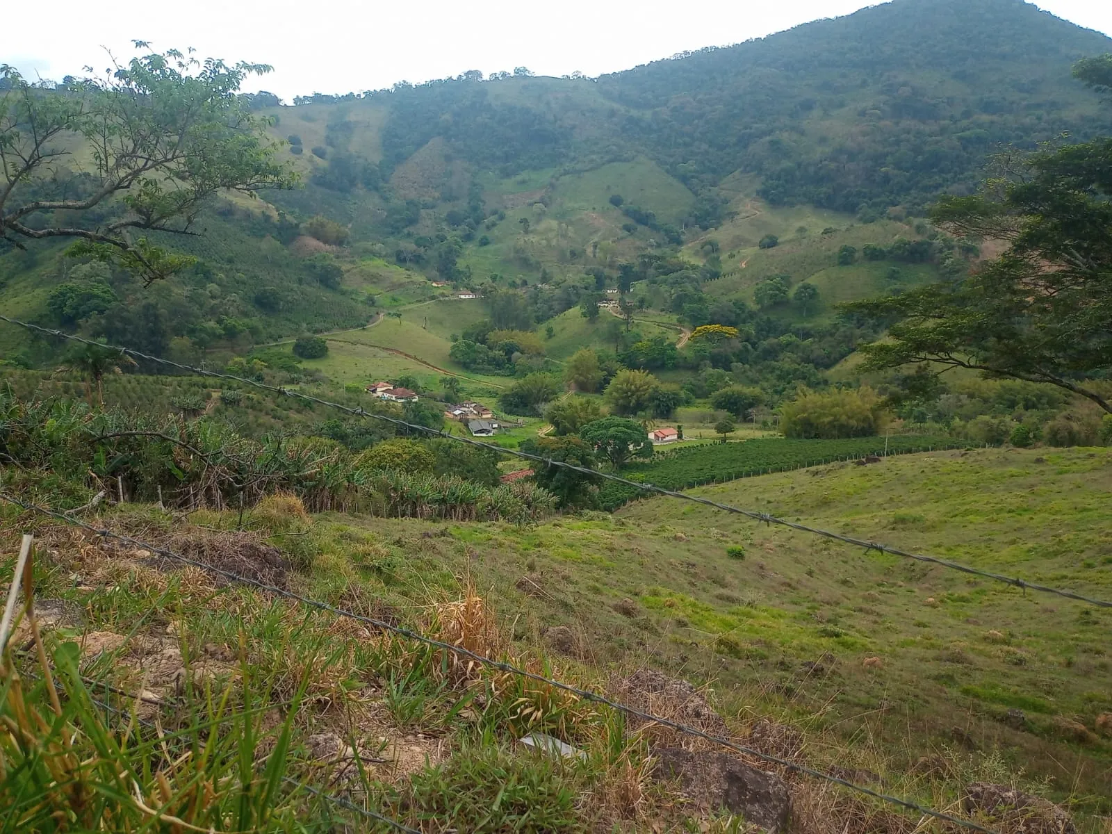Quer construir uma casa em uma serra, bem no meio da natureza? Área com 1,5 alqueire,  com linda vista panorâmica para a Pedra do Elefante, formada com mata,  nascente de água, ideal para quem quer sossego, a apenas  6Km de Andradas. São terras ladeirosas, mas tem uma terraplenagem com aproximadamente 300m², onde da para construir. O acesso ideal é com veículo 4 x 4. Ideal também para criação de abelhas e produção de mel. - foto 4