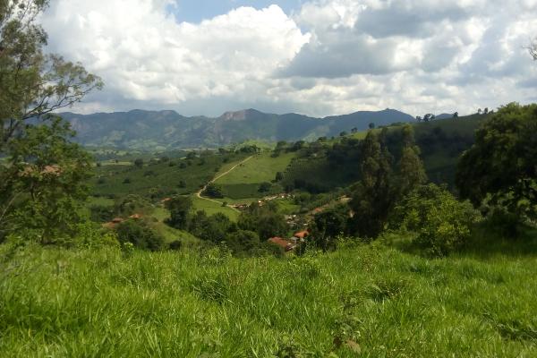 Quer construir uma casa em uma serra, bem no meio da natureza? Área com 1,5 alqueire,  com linda vista panorâmica para a Pedra do Elefante, formada com mata,  nascente de água, ideal para quem quer sossego, a apenas  6Km de Andradas. São terras ladeirosas, mas tem uma terraplenagem com aproximadamente 300m², onde da para construir. O acesso ideal é com veículo 4 x 4. - foto 3