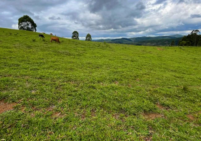 Este é para você que idealizou ter um sítio em localização privilegiada e de fácil acesso....