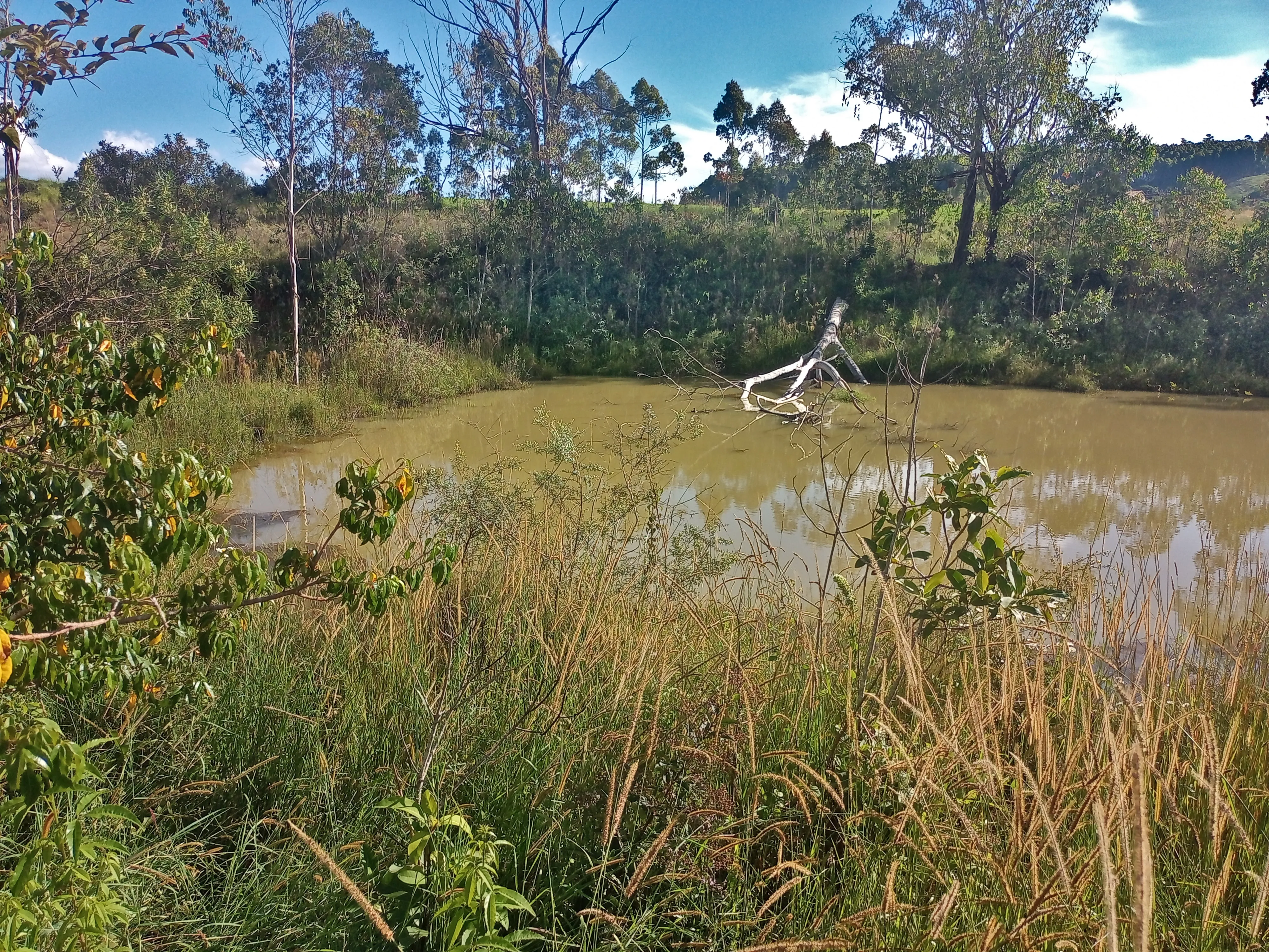 Este é para você que idealizou ter um sítio em localização privilegiada e de fácil acesso.  Área de terras com 7,7 alqueires ou 18,6 hectares sem edificações, com açude, localizado a apenas 2Km da rodovia Andadas/Poços de Caldas, topografia oitenta por cento tratorável, 3 hectares formados com eucalipto cortado recentemente, bacias de contenção contra erosão, sem servidão de caminho para terceiros,  local ideal para a agropecuária, construir sua morada ou para o lazer, fica próximo de Andradas e de Poços de Caldas, região que vem se devolvendo com diversidade de culturas como horticultura, flores, oliveiras, eucalipto e frutíferas, altitude média entre 1340 a 1365 metros. Agende logo sua visita, com as boas qualidades que este imóvel possui será vendido rapidamente. - foto 2