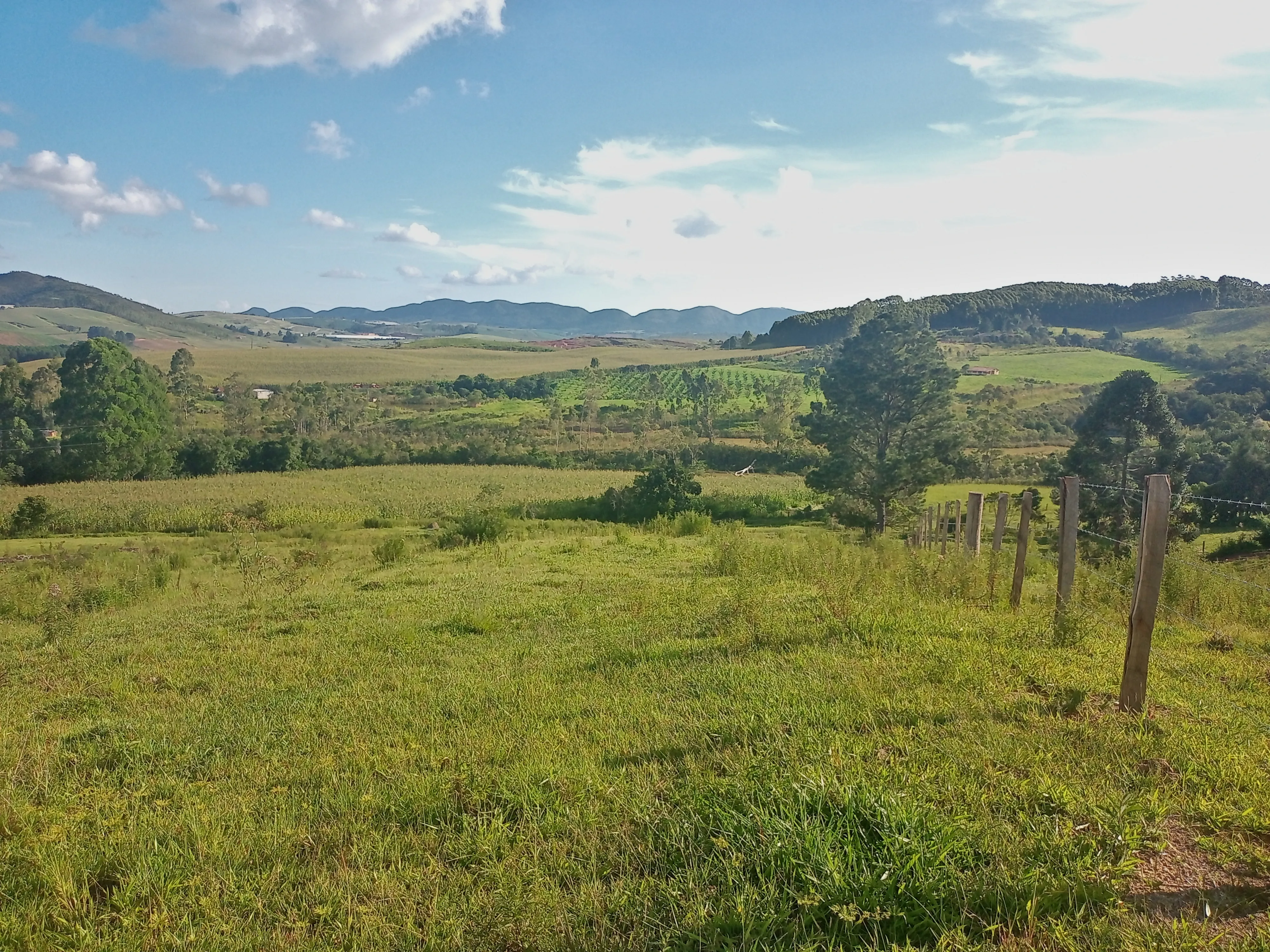 Este é para você que idealizou ter um sítio em localização privilegiada e de fácil acesso.  Área de terras com 7,7 alqueires ou 18,6 hectares sem edificações, com açude, localizado a apenas 2Km da rodovia Andadas/Poços de Caldas, topografia oitenta por cento tratorável, 3 hectares formados com eucalipto cortado recentemente, bacias de contenção contra erosão, sem servidão de caminho para terceiros,  local ideal para a agropecuária, construir sua morada ou para o lazer, fica próximo de Andradas e de Poços de Caldas, região que vem se devolvendo com diversidade de culturas como horticultura, flores, oliveiras, eucalipto e frutíferas, altitude média entre 1340 a 1365 metros. Agende logo sua visita, com as boas qualidades que este imóvel possui será vendido rapidamente. - foto 7