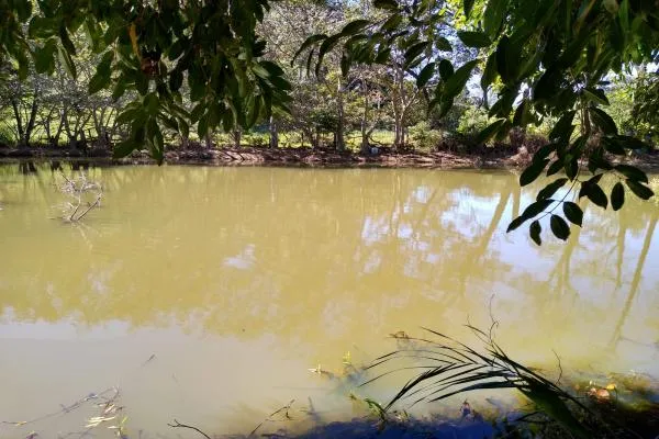 Sinta a serenidade da natureza em sua própria casa com esta chácara de quatorze mil metros...