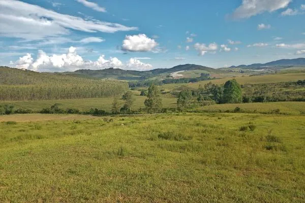 Descubra um lugar perfeito para escapar da agitação da cidade e aproveitar a tranquilidade da natureza! Com 7,7 alqueires, você pode desfrutar de um açude,  capão de eucalíptos, rede de energia sobre o sítio, mais um pasto onde você poderá explorar a pecuária e diversas culturas como uvas, oliveiras, figos, caqui e obter uma boa renda.  Além disso, o fácil acesso e a proximidade da rodovia Poços/Andradas fazem deste lugar um ótimo investimento. Não perca esta oportunidade de ter seu próprio refúgio na natureza! - foto 2
