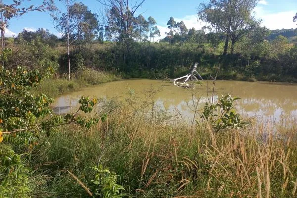 Descubra um lugar perfeito para escapar da agitação da cidade e aproveitar a tranquilidade da natureza! Com 7,7 alqueires, você pode desfrutar de um açude,  capão de eucalíptos, rede de energia sobre o sítio, mais um pasto onde você poderá explorar a pecuária e diversas culturas como uvas, oliveiras, figos, caqui e obter uma boa renda.  Além disso, o fácil acesso e a proximidade da rodovia Poços/Andradas fazem deste lugar um ótimo investimento. Não perca esta oportunidade de ter seu próprio refúgio na natureza! - foto 4