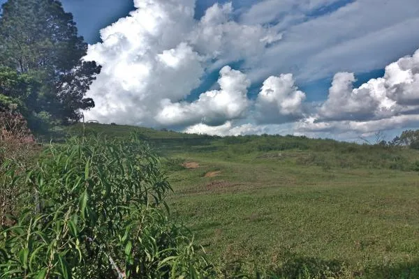 Descubra um lugar perfeito para escapar da agitação da cidade e aproveitar a tranquilidade da natureza! Com 7,7 alqueires, você pode desfrutar de um açude,  capão de eucalíptos, rede de energia sobre o sítio, mais um pasto onde você poderá explorar a pecuária e diversas culturas como uvas, oliveiras, figos, caqui e obter uma boa renda.  Além disso, o fácil acesso e a proximidade da rodovia Poços/Andradas fazem deste lugar um ótimo investimento. Não perca esta oportunidade de ter seu próprio refúgio na natureza! - foto 5