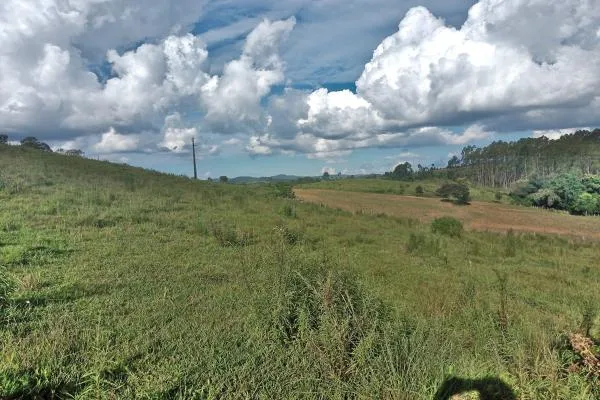 Descubra um lugar perfeito para escapar da agitação da cidade e aproveitar a tranquilidade da natureza! Com 7,7 alqueires, você pode desfrutar de um açude,  capão de eucalíptos, rede de energia sobre o sítio, mais um pasto onde você poderá explorar a pecuária e diversas culturas como uvas, oliveiras, figos, caqui e obter uma boa renda.  Além disso, o fácil acesso e a proximidade da rodovia Poços/Andradas fazem deste lugar um ótimo investimento. Não perca esta oportunidade de ter seu próprio refúgio na natureza! - foto 7
