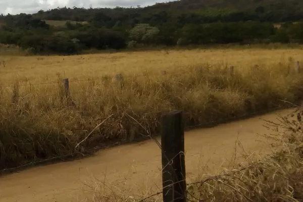 Esta é para você que quer ar puro e sossego, bem junto da natureza . Área com 20.000m², plana,...