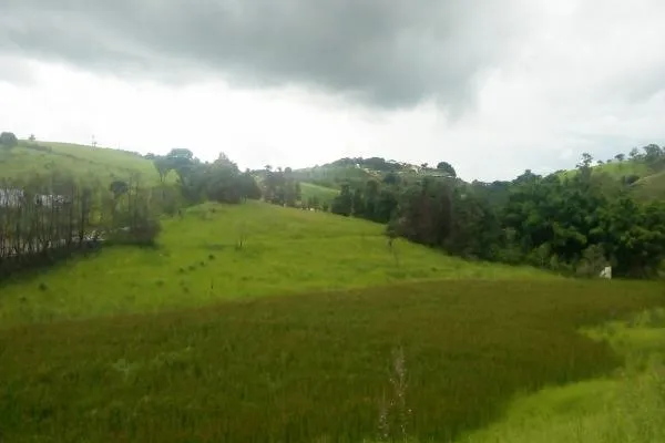 Área com 1000m², frente para MG 455-Saída de Ibitiúra, próxima do Posto Alfa, a 500 metros da...