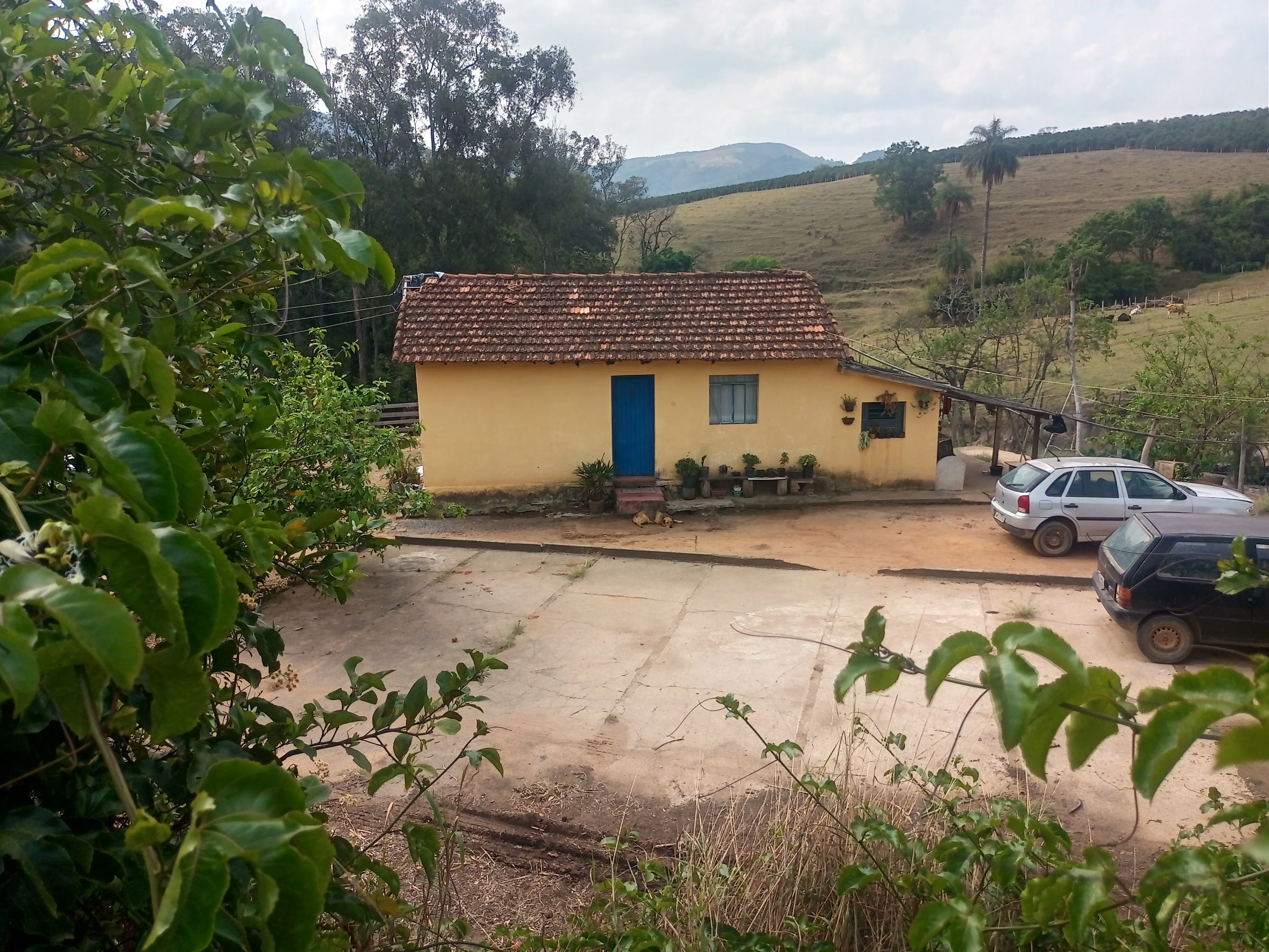 Este é ótimo, sítio para renda e lazer, para cultivo de café e pecuária, o que possibilita ao...