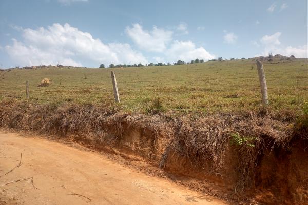 Este é ótimo, sítio para renda e lazer, para cultivo de café e pecuária, o que possibilita ao comprador ter renda diversificada, 4 alqueires, casa, açude grande, cocheira, localizado a apenas 700 metros da rodovia asfaltada Andradas/Ibitiúra. - foto 4