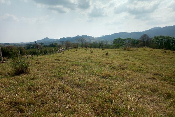 Este é ótimo, sítio para renda e lazer, para cultivo de café e pecuária, o que possibilita ao comprador ter renda diversificada, 4 alqueires, casa, açude grande, cocheira, localizado a apenas 700 metros da rodovia asfaltada Andradas/Ibitiúra. - foto 5