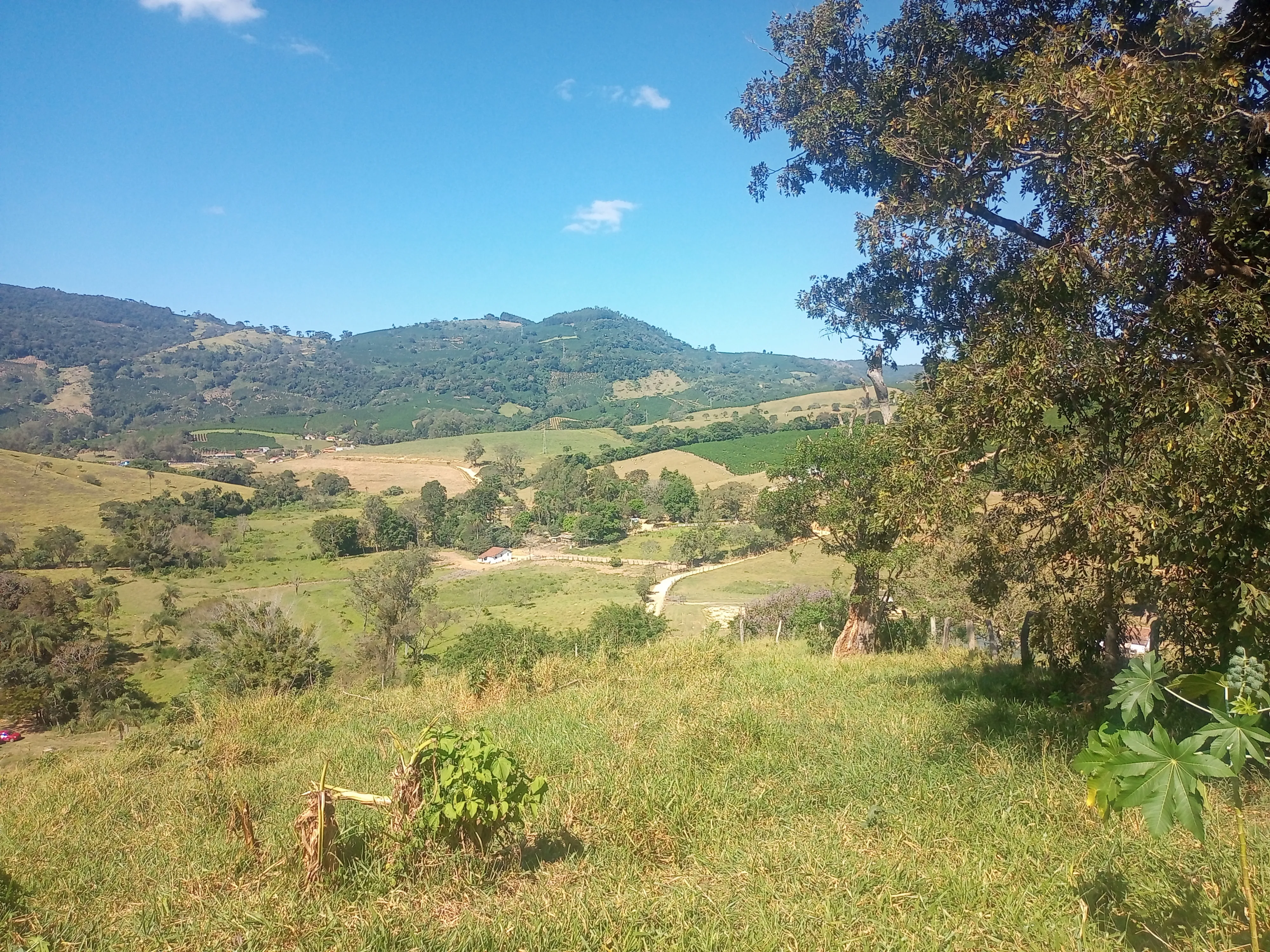 Sítio com casa, medindo 1,24 alqueire, cafezal novo, 9 km de Andradas sendo 4 asfaltado, córrego, água de nascente, com vistas, vizinho próximo. - foto 2
