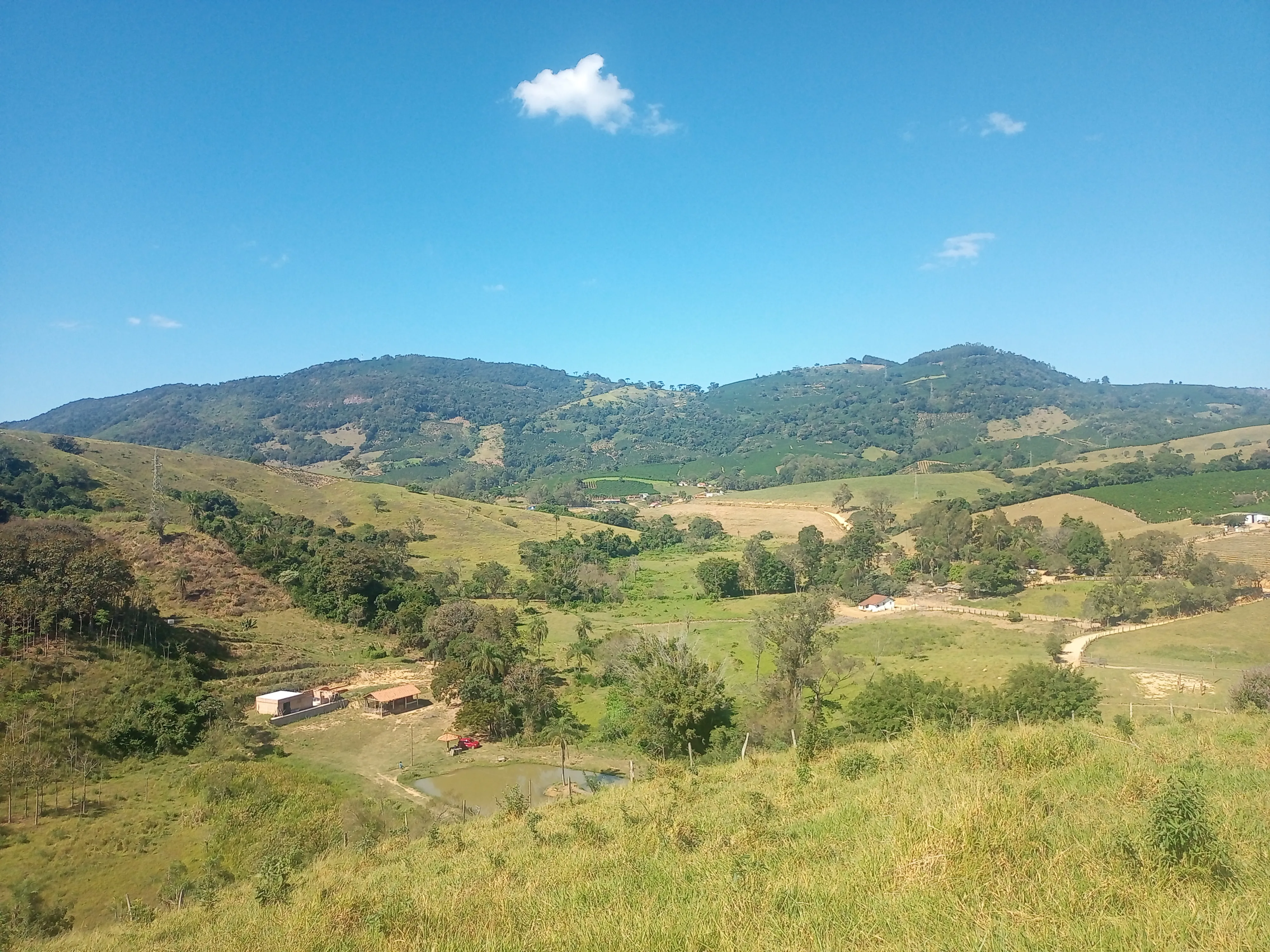 Sítio com casa, medindo 1,24 alqueire, cafezal novo, 9 km de Andradas sendo 4 asfaltado, córrego, água de nascente, com vistas, vizinho próximo. - foto 3