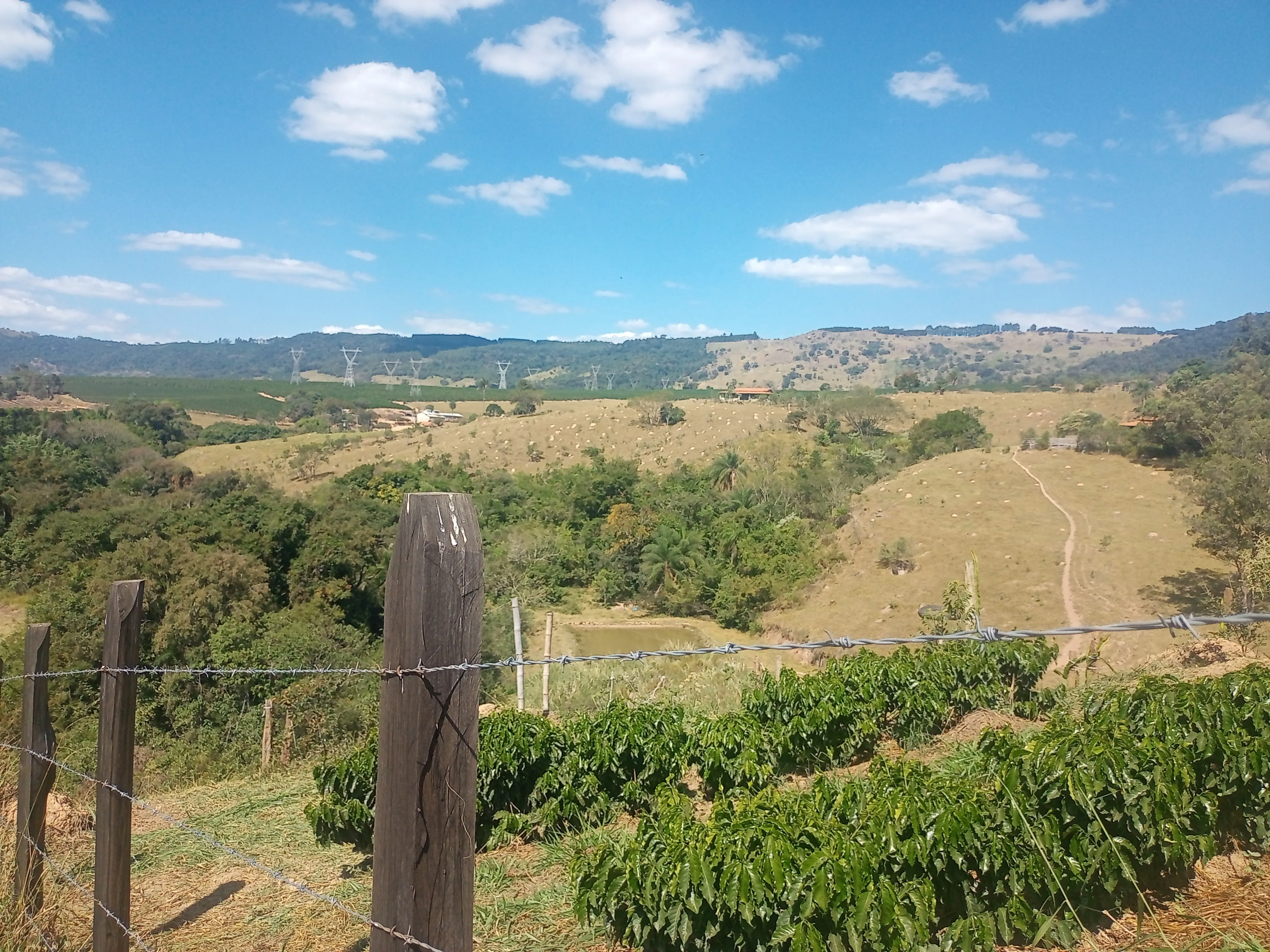 Sítio com casa, medindo 1,24 alqueire, cafezal novo, 9 km de Andradas sendo 4 asfaltado, córrego, água de nascente, com vistas, vizinho próximo. - foto 4