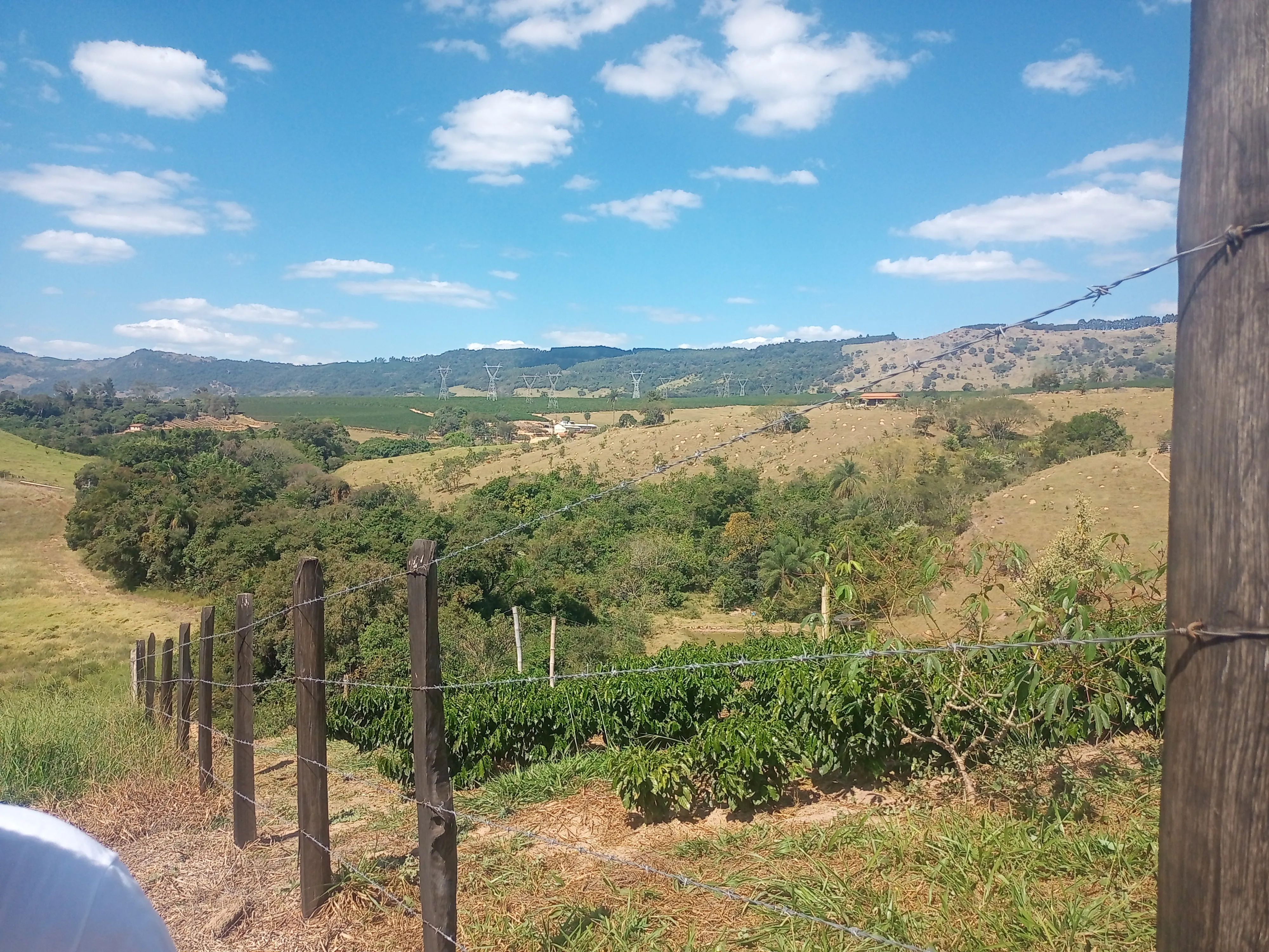 Sítio com casa, medindo 1,24 alqueire, cafezal novo, 9 km de Andradas sendo 4 asfaltado, córrego, água de nascente, com vistas, vizinho próximo. - foto 5