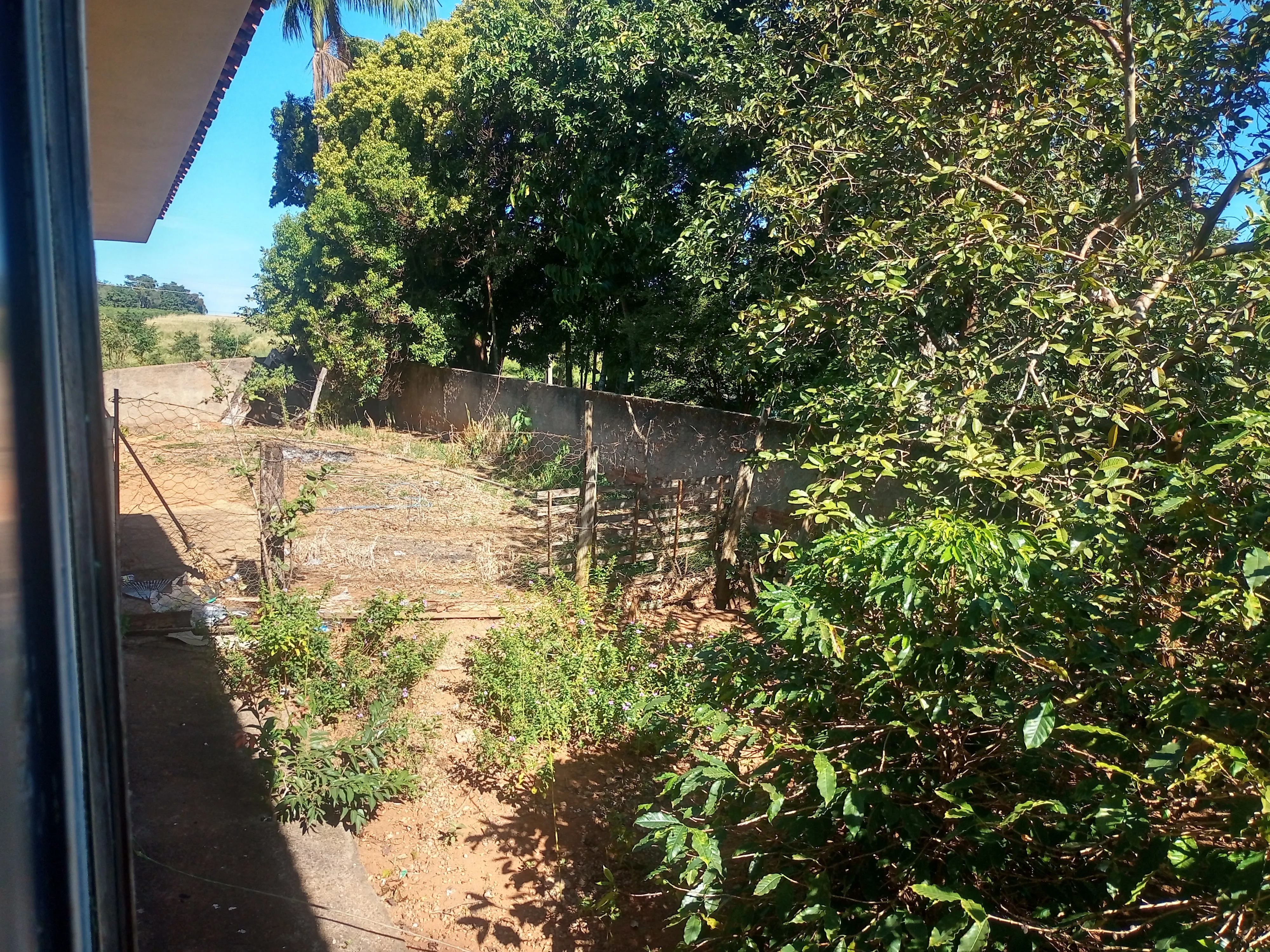 Chácara aconchegante com 3.600m², casa com laje, 4 quartos, 3 salas, 3 banheiros, churrasqueira, lugar para açude, córrego,  pomar com jabuticabeiras, abacateiros, mangueiras e belos arvoredos que proporcionam um ambiente bucólico, tranquilo e cheio de paz. Conta ainda com uma varanda com churrasqueira, perfeita para reunir amigos e familiares em momentos especiais. - foto 5