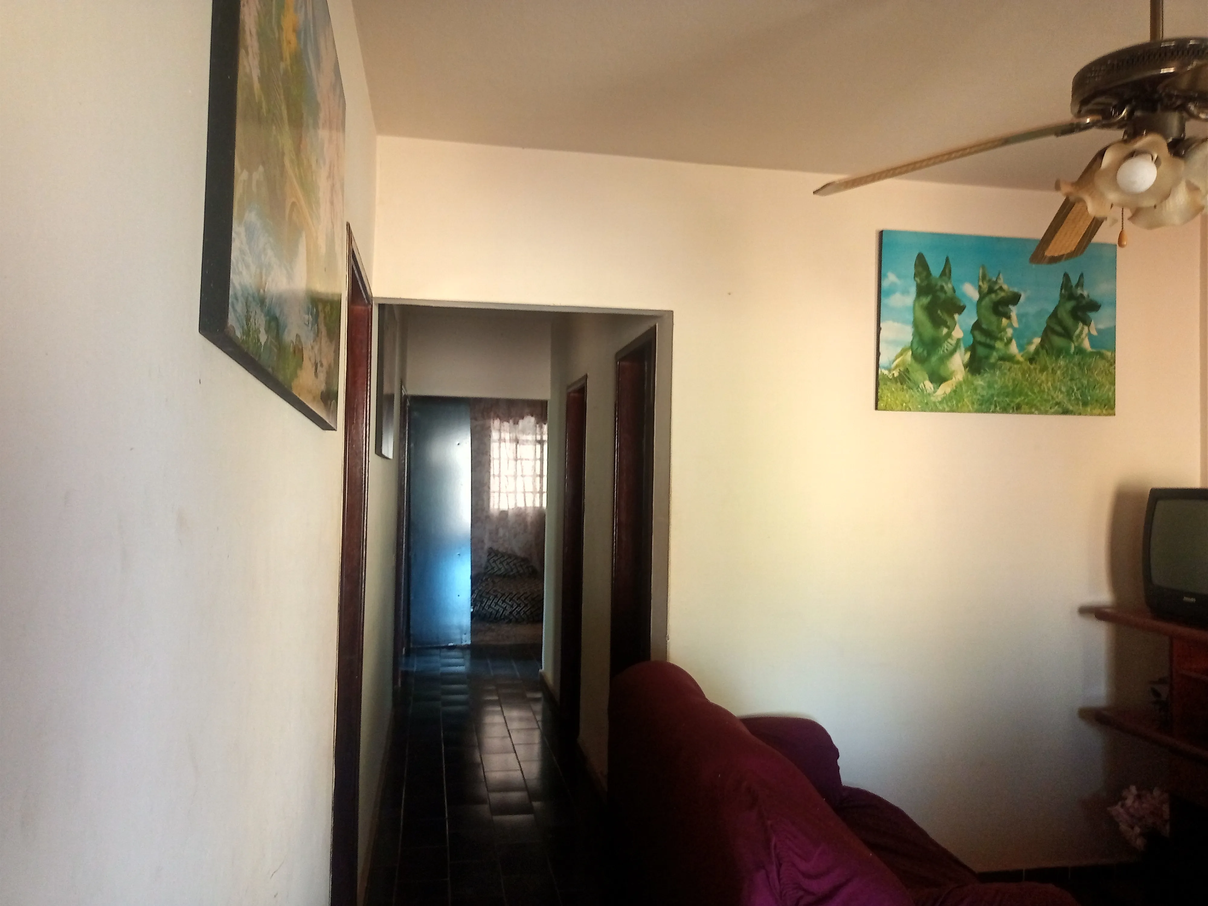 Chácara aconchegante com 3.600m², casa com laje, 4 quartos, 3 salas, 3 banheiros, churrasqueira, lugar para açude, córrego,  pomar com jabuticabeiras, abacateiros, mangueiras e belos arvoredos que proporcionam um ambiente bucólico, tranquilo e cheio de paz. Conta ainda com uma varanda com churrasqueira, perfeita para reunir amigos e familiares em momentos especiais. - foto 11