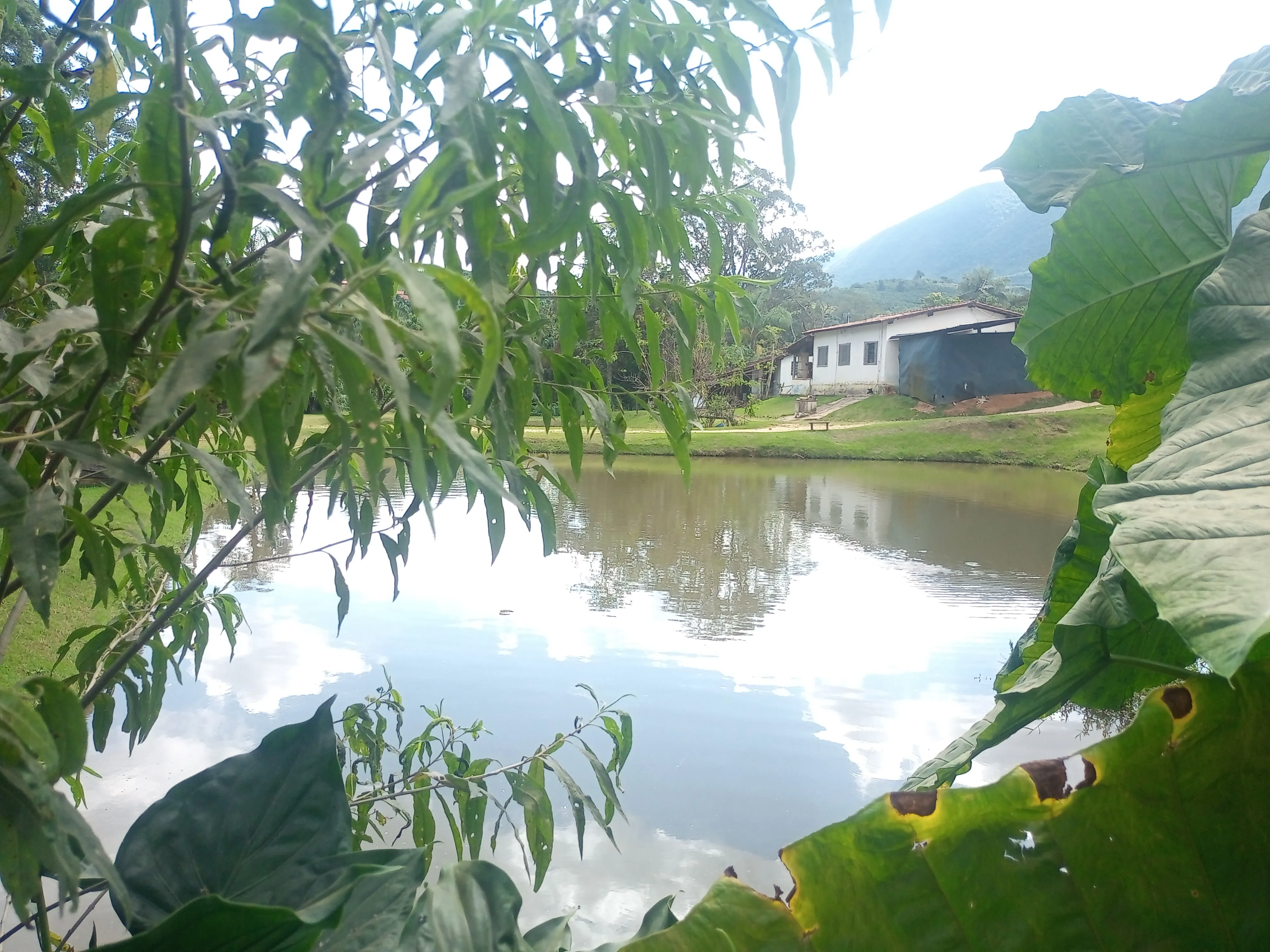 Esta charmosa chácara de 4.000 m² oferece o equilíbrio perfeito entre a comodidade da área urbana e a paz do ambiente rural. A propriedade conta com duas casas, 2 açudes para momentos de lazer e contemplação, além de pomar formado e área de pastagem, ideal para criar ou soltar seus animais com segurança e conforto.
Um espaço perfeito para quem busca contato com a natureza, privacidade e bem-estar sem abrir mão da praticidade de estar perto da cidade.
Entre em contato e vamos agendar uma visita. - foto 2