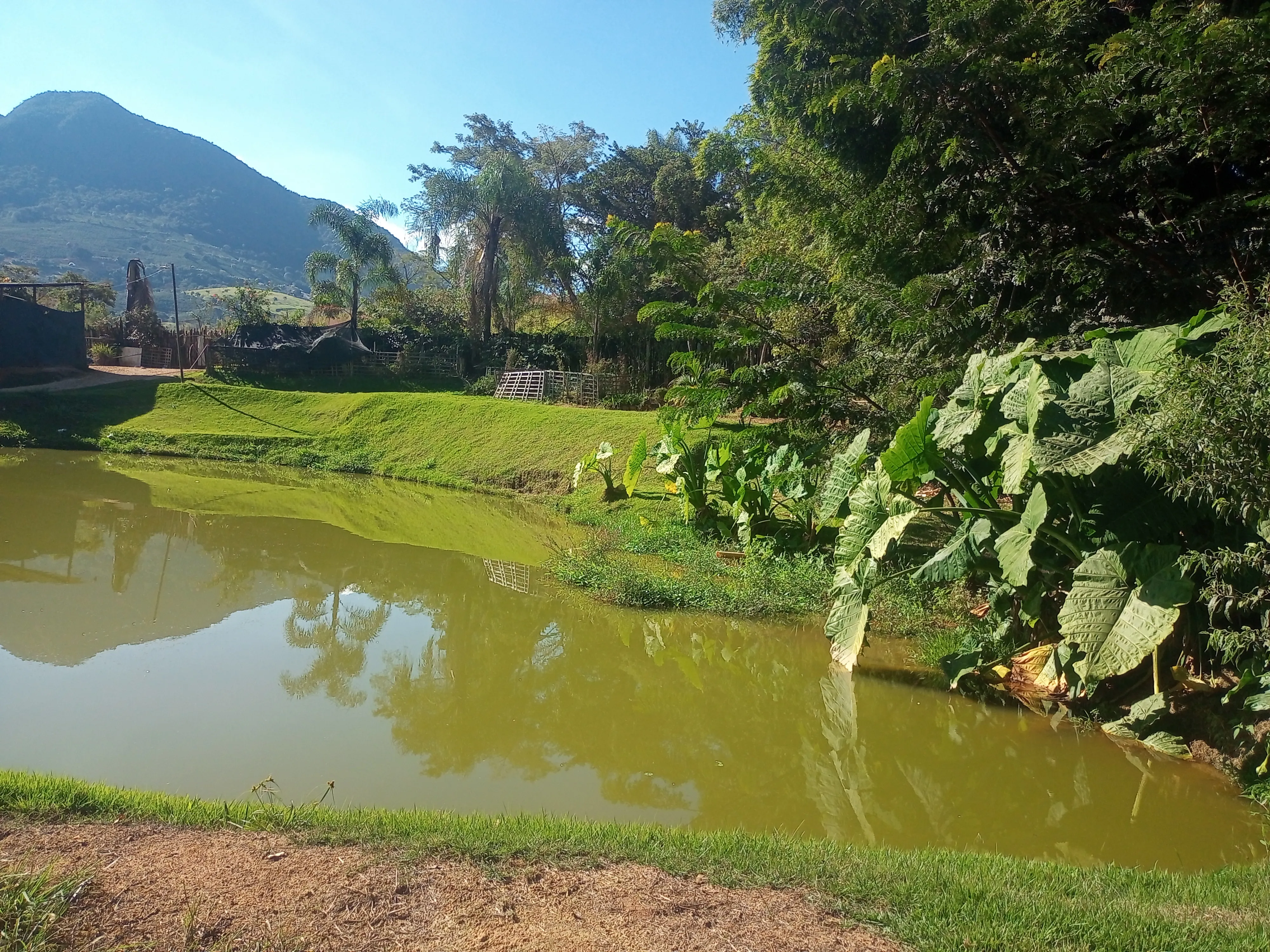 Esta charmosa chácara de 4.000 m² oferece o equilíbrio perfeito entre a comodidade da área urbana e a paz do ambiente rural. A propriedade conta com duas casas, 2 açudes para momentos de lazer e contemplação, além de pomar formado e área de pastagem, ideal para criar ou soltar seus animais com segurança e conforto.
Um espaço perfeito para quem busca contato com a natureza, privacidade e bem-estar sem abrir mão da praticidade de estar perto da cidade.
Entre em contato e vamos agendar uma visita. - foto 4