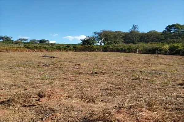 Sóvis - Chácara, bairro da Sóvis, com 1.500m², apenas 800m de Andradas, com luz, plana, ótima...